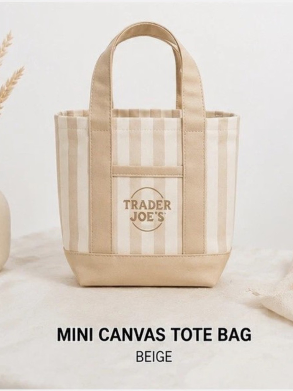 Trader Joe's Mini Canvas Tote Bag - Beige Stripe